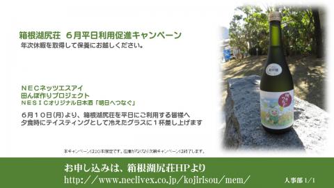 平日キャンペーン